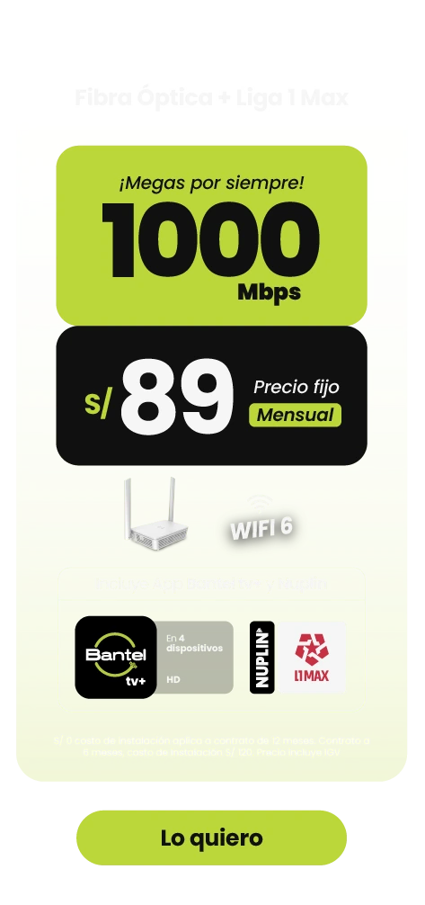 Internet fibra_L1_89_1000